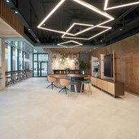 Welcome to Alpha Echo: Building the Future, One Project at a Time